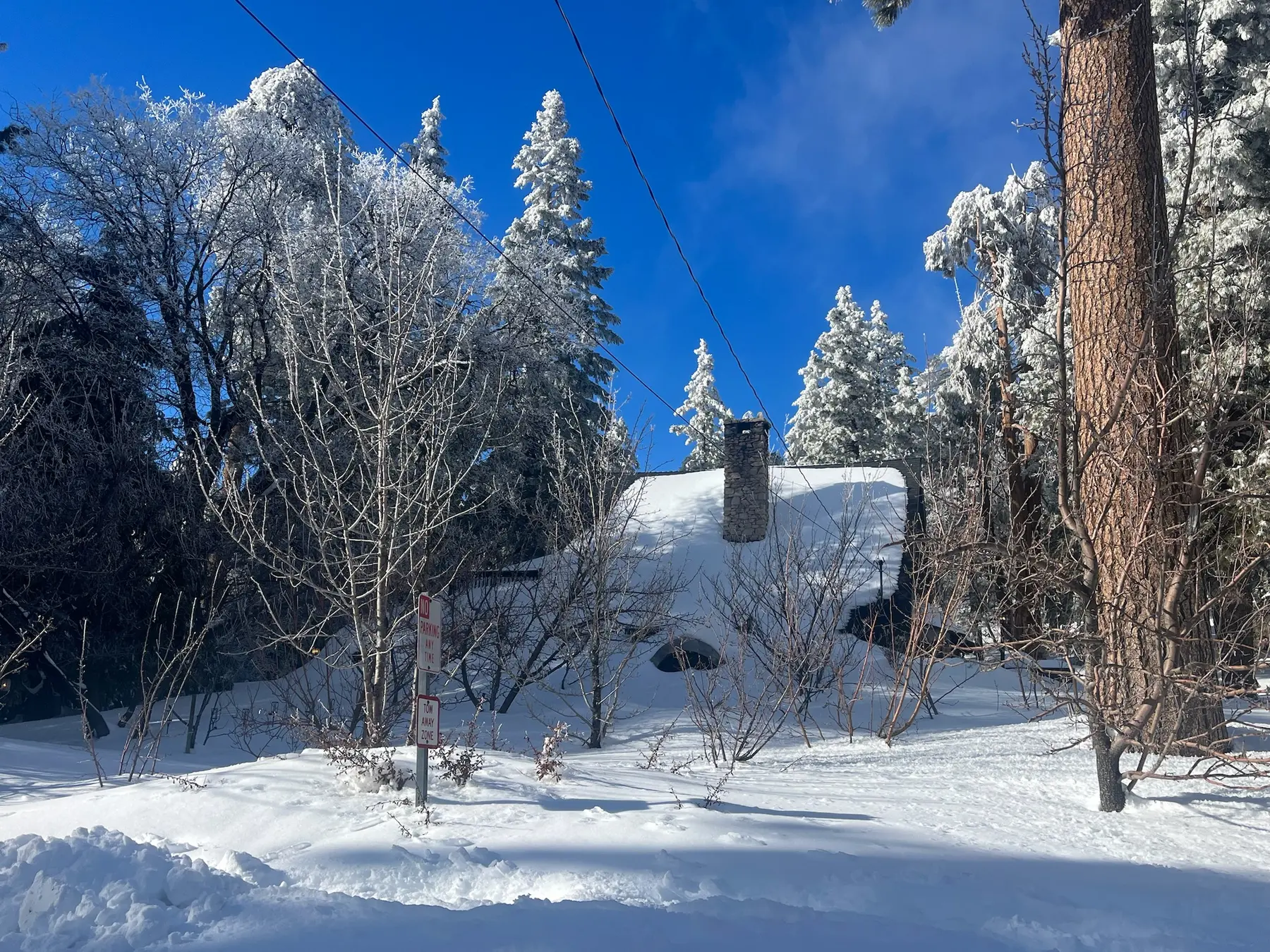 The cabin among snow-covered pines