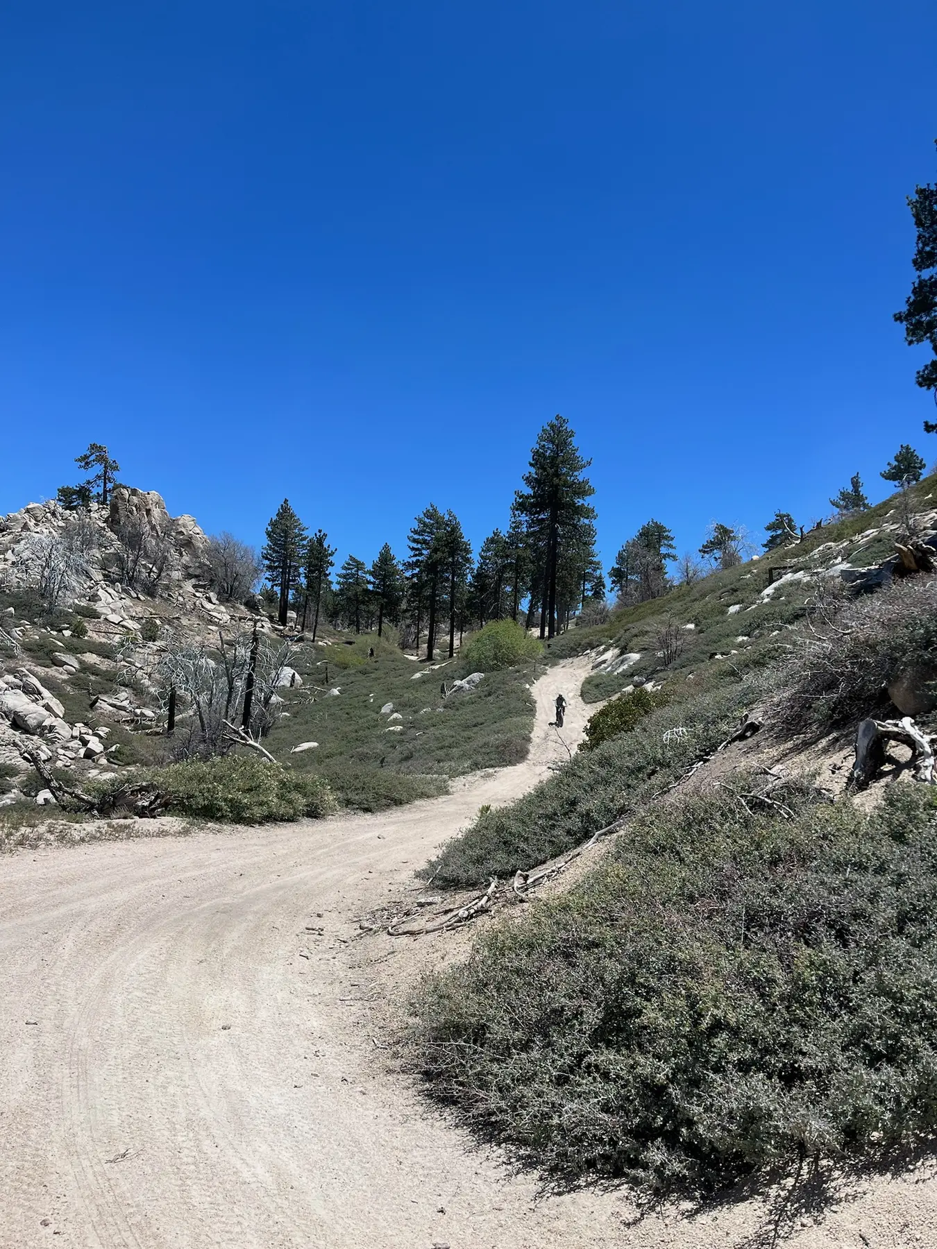 Mountain trail through the San Bernardino forest